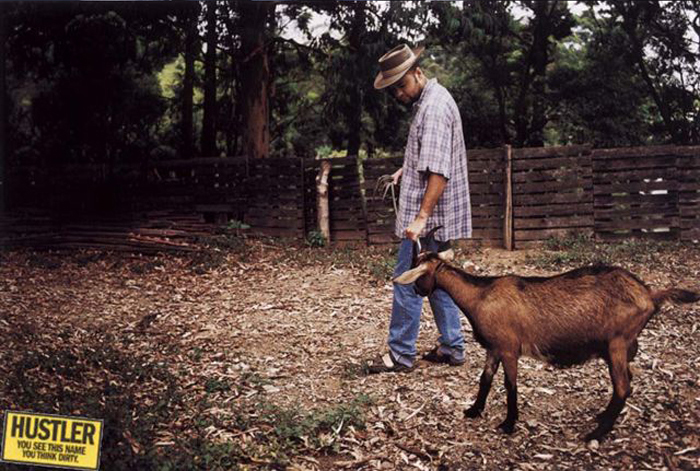 HUSTLER3.JPG