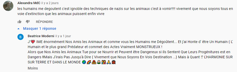 2021-07-18 commentaires video youtube animal-cross.png