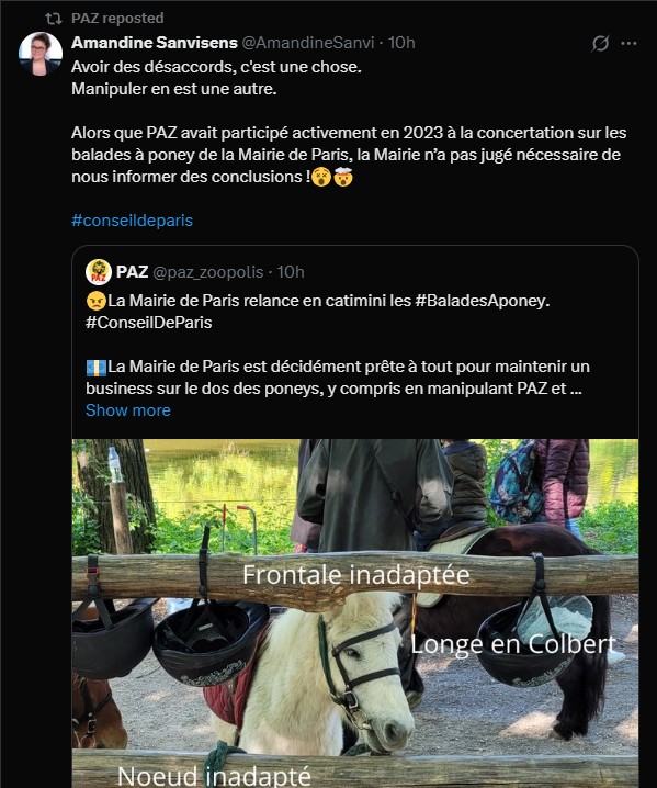 2025-04-08 Paz revers poneys paris.jpg