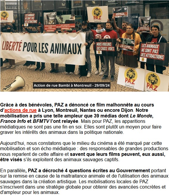 2025-04-04 Paz newsletter terrorisme animaux cinema.jpg