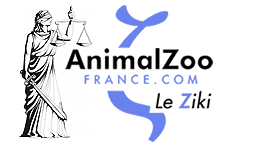 Fichier:2022-01-21 logo justice azf.png