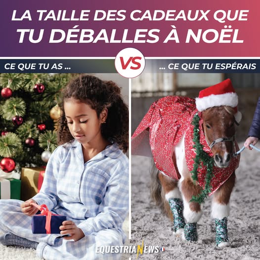 Fichier:2024-Joyeux-Noel.jpg
