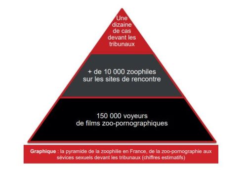 2024-01-15 pyramide rapport fev-2021.jpg