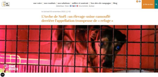 2024-02-14 OneVoice exploitation maltraitance 1.jpg