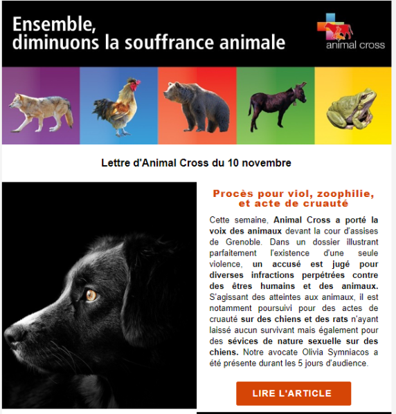 Fichier:2023-11-10 newsletter animal-cross.png