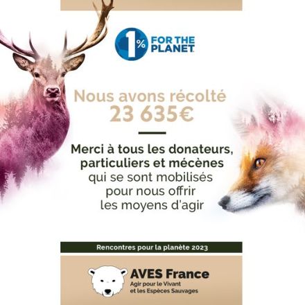 2023-10-25 1 pour plane aves dons doubles.jpg