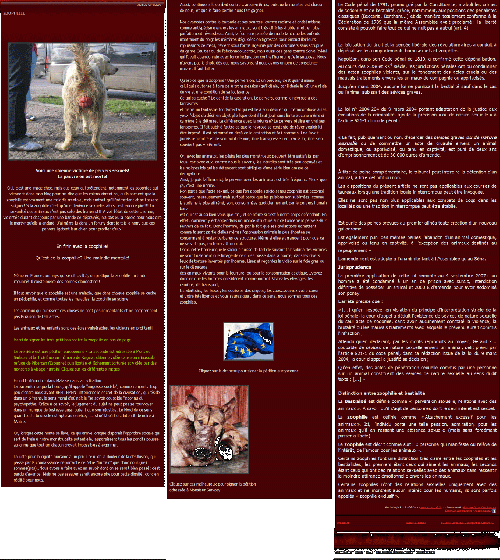 2009 08 14---ZOOPHILIE---Le-blog-de-labrajack---labrajack.over-blog.com-article-34402887---petit.gif