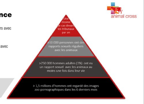 2024-01-15 pyramide rapport sept-2021.jpg