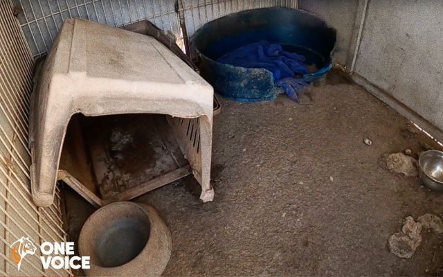 2024-02-14 OneVoice exploitation maltraitance 2.jpg