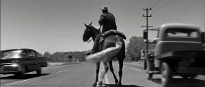 Seuls sont les indomptes7.jpg