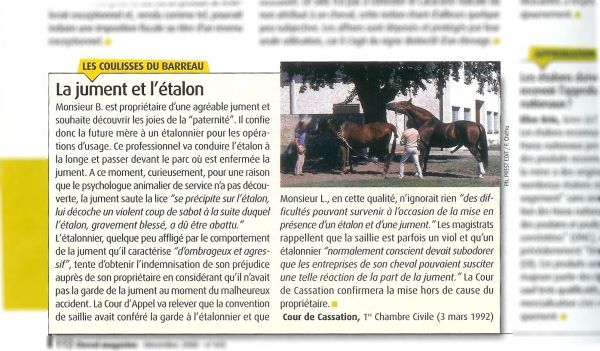 Cheval magazine - decembre 2008.jpg