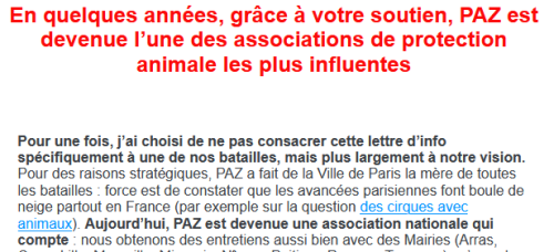 2023-10-25 Newsletter PAZ newsletter une asso qui compte.png